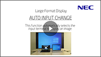 Auto input change