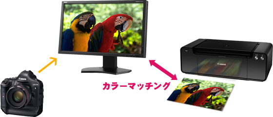 利用シーン