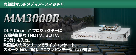 MM3000B