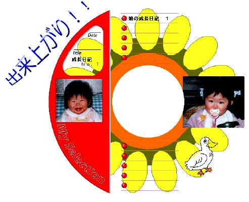 FIN2